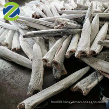 READY SHIPMENT FROZEN HGT PURE SAILFISH 10KG UP DWT WITH SUPER SEAFROZEN QUALITY